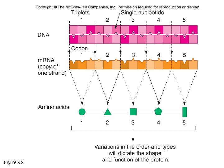 Figure 9. 9 