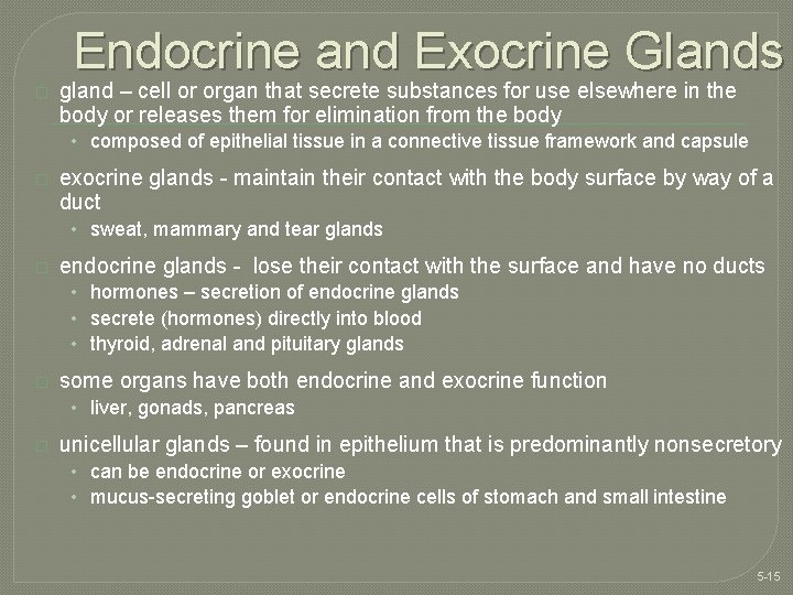 Endocrine and Exocrine Glands � gland – cell or organ that secrete substances for