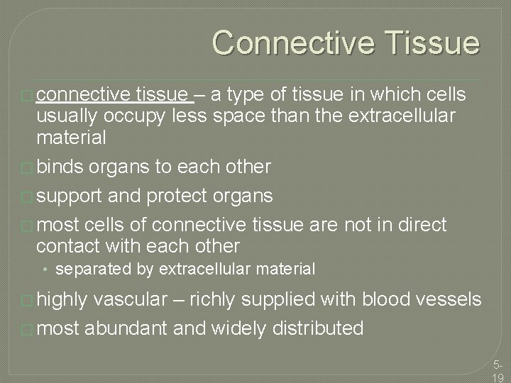 Connective Tissue � connective tissue – a type of tissue in which cells usually