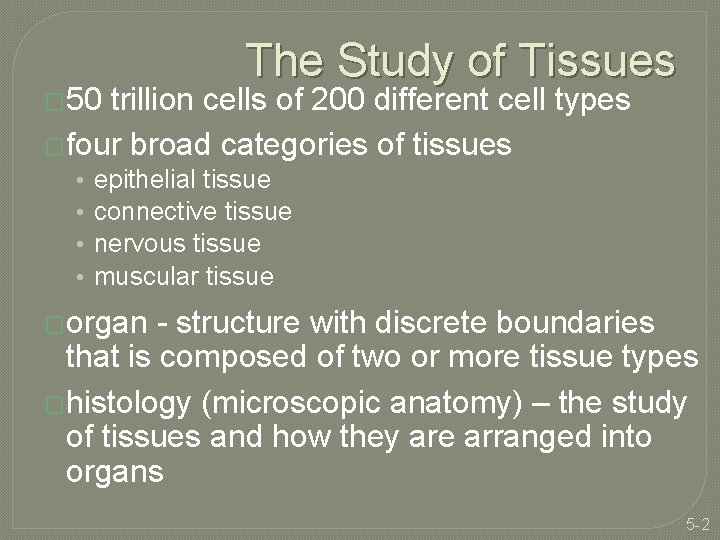 � 50 The Study of Tissues trillion cells of 200 different cell types �four