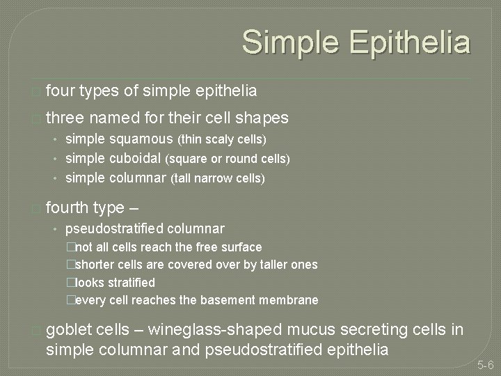 Simple Epithelia � four types of simple epithelia � three named for their cell