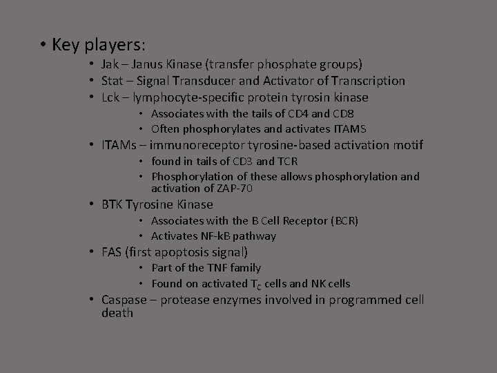  • Key players: • Jak – Janus Kinase (transfer phosphate groups) • Stat