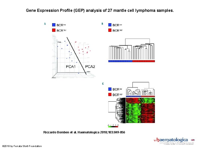Gene Expression Profile (GEP) analysis of 27 mantle cell lymphoma samples. Riccardo Bomben et
