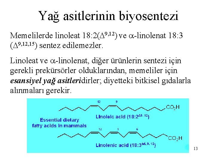 Yağ asitlerinin biyosentezi Memelilerde linoleat 18: 2( 9, 12) ve -linolenat 18: 3 (