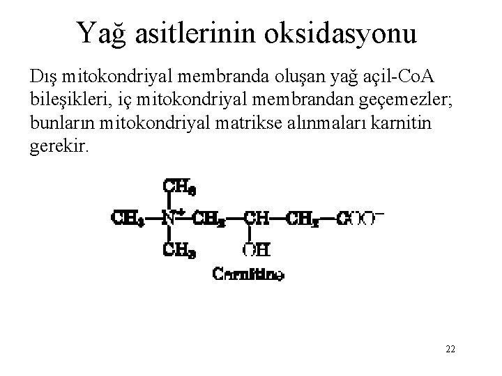 Yağ asitlerinin oksidasyonu Dış mitokondriyal membranda oluşan yağ açil-Co. A bileşikleri, iç mitokondriyal membrandan