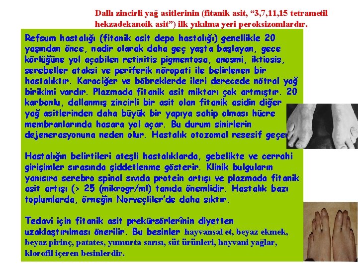 Dallı zincirli yağ asitlerinin (fitanik asit, “ 3, 7, 11, 15 tetrametil hekzadekanoik asit”)