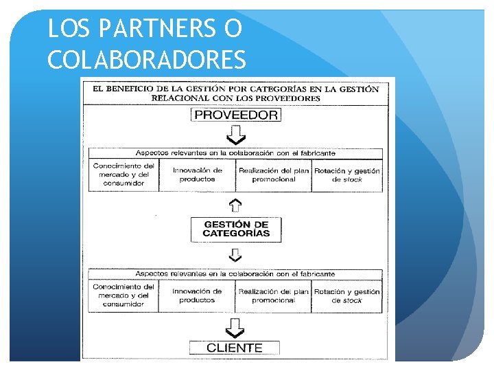 LOS PARTNERS O COLABORADORES 