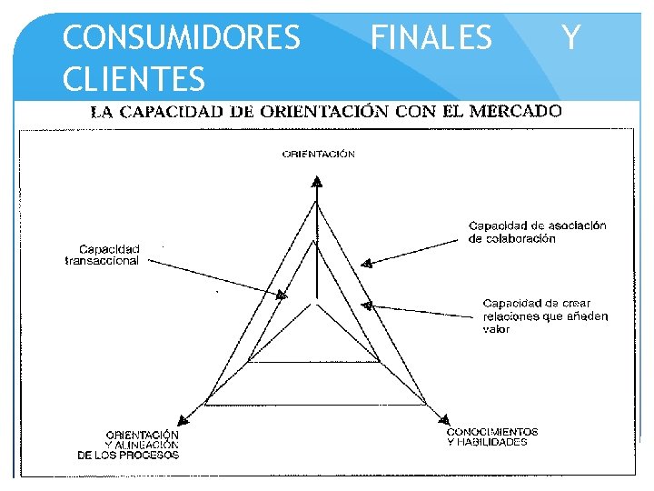 CONSUMIDORES CLIENTES FINALES Y 