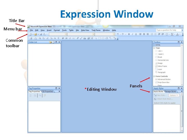Title Bar Expression Window Menu bar Common toolbar *Editing Window Panels 