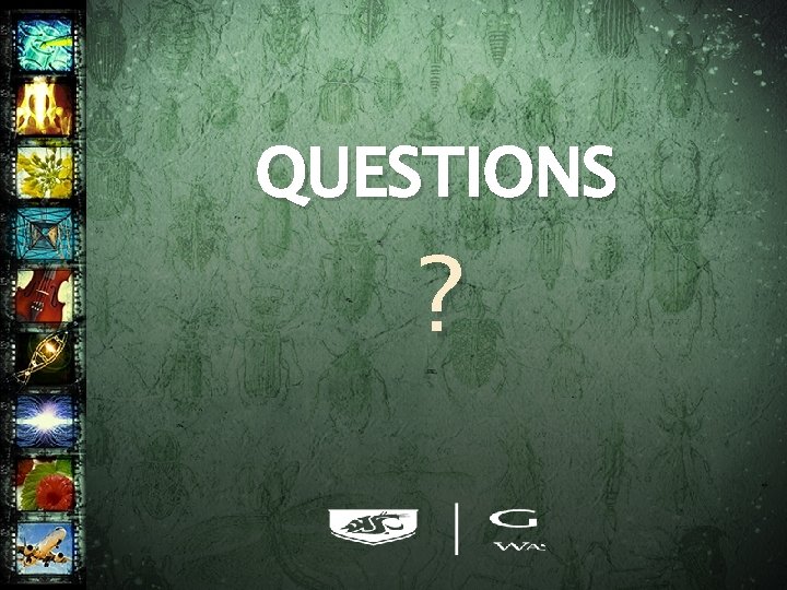 QUESTIONS ? 