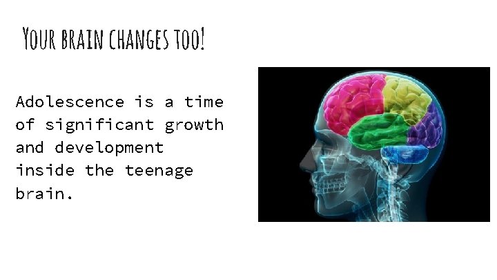 Your brain changes too! Adolescence is a time of significant growth and development inside