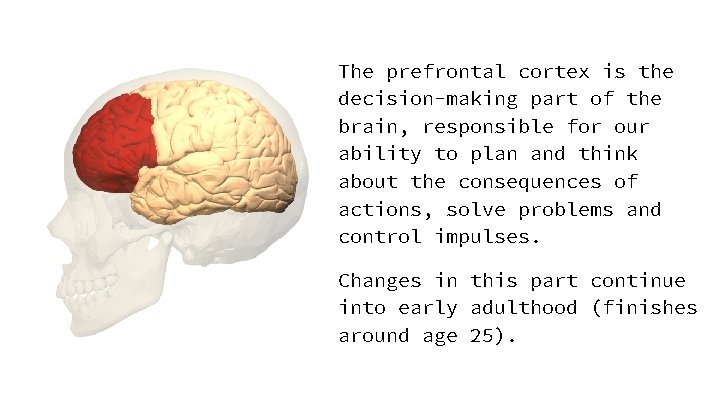 The prefrontal cortex is the decision-making part of the brain, responsible for our ability