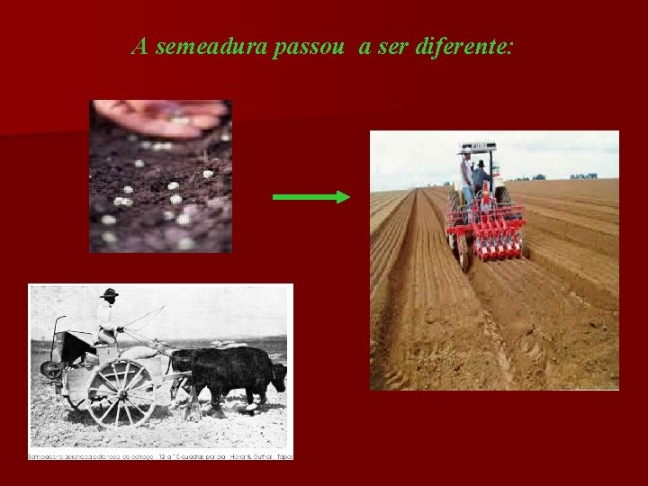 A semeadura passou a ser diferente: 