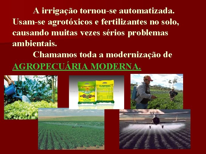 A irrigação tornou-se automatizada. Usam-se agrotóxicos e fertilizantes no solo, causando muitas vezes sérios