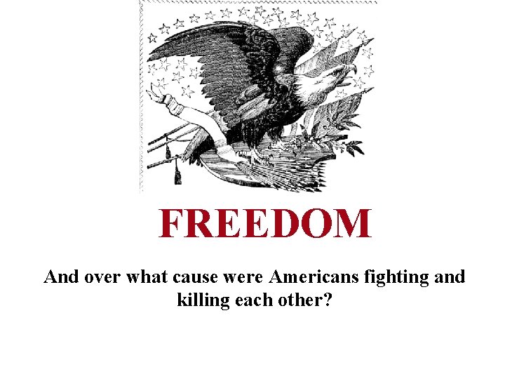 FREEDOM And over what cause were Americans fighting and killing each other? 