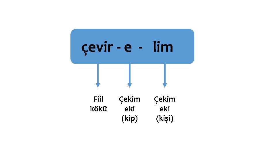 çevir - e - lim Fiil kökü Çekim eki (kip) Çekim eki (kişi) 