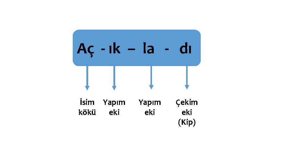 Aç - ık – la - dı İsim Yapım eki kökü Yapım eki Çekim