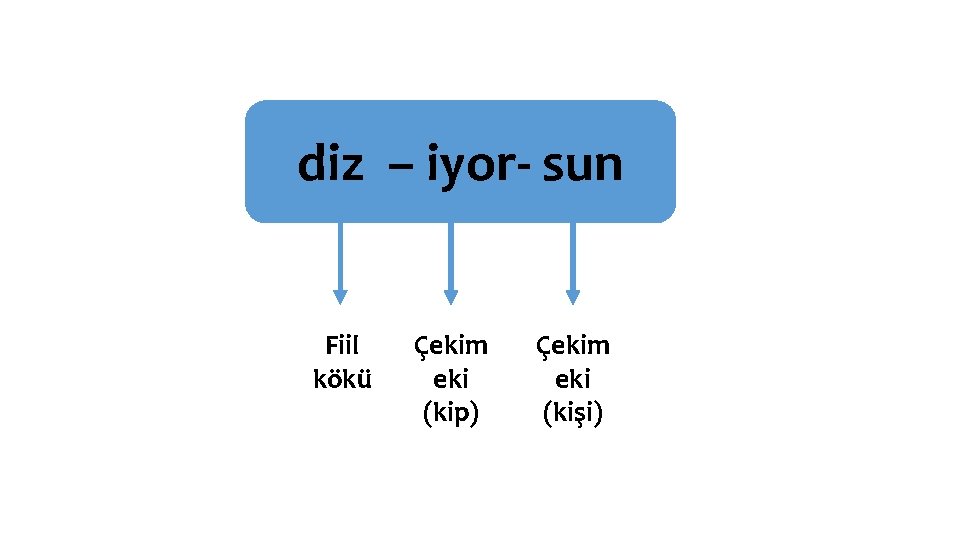 diz – iyor- sun Fiil kökü Çekim eki (kip) Çekim eki (kişi) 