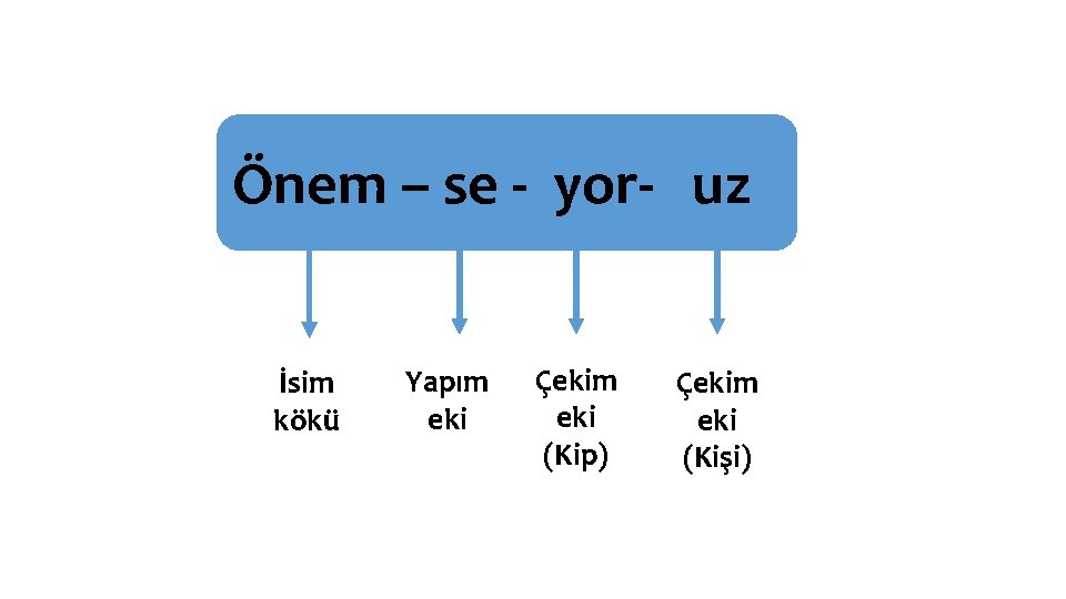 Önem – se - yor- uz İsim kökü Yapım eki Çekim eki (Kip) Çekim