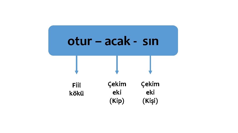 otur – acak - sın Fiil kökü Çekim eki (Kip) Çekim eki (Kişi) 