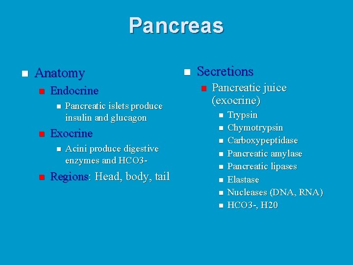 Pancreas n Anatomy n Endocrine n n Exocrine n n Pancreatic islets produce insulin