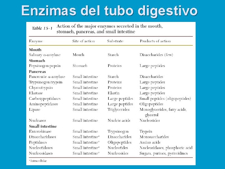 Enzimas del tubo digestivo 