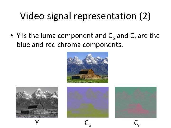 Video signal representation (2) • Y is the luma component and Cb and Cr