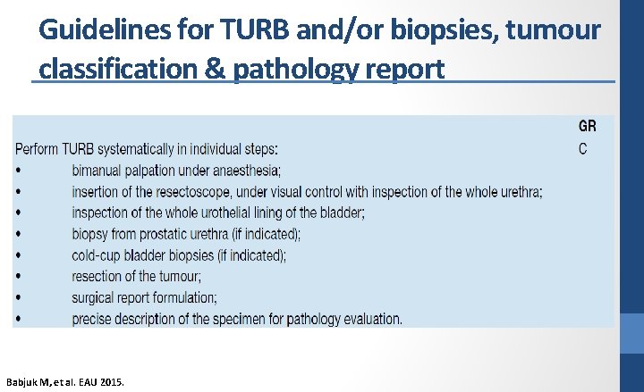 Guidelines for TURB and/or biopsies, tumour classification & pathology report Babjuk M, et al.