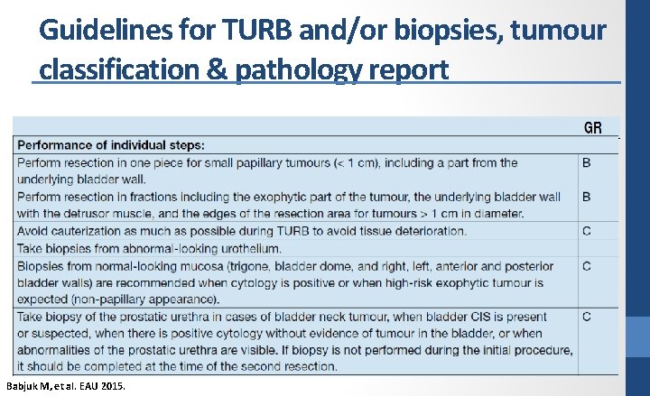 Guidelines for TURB and/or biopsies, tumour classification & pathology report Babjuk M, et al.