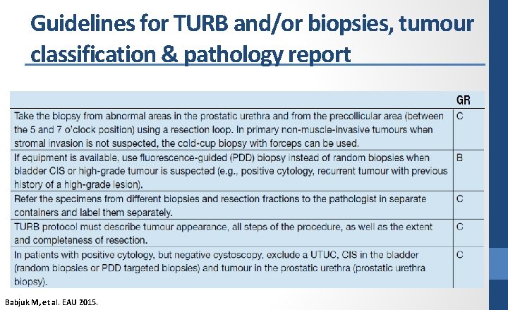 Guidelines for TURB and/or biopsies, tumour classification & pathology report Babjuk M, et al.