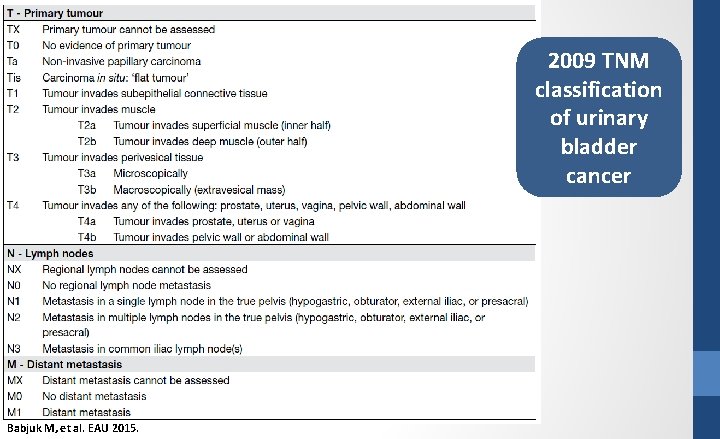 2009 TNM classification of urinary bladder cancer Babjuk M, et al. EAU 2015. 