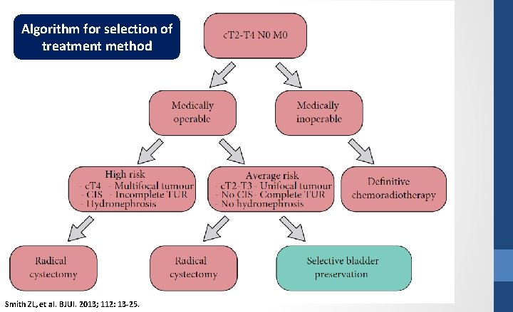 Algorithm for selection of treatment method Smith ZL, et al. BJUI. 2013; 112: 13