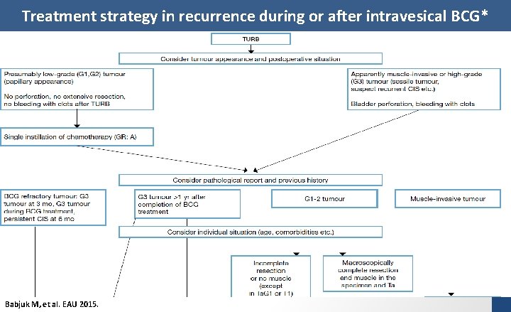 Treatment strategy in recurrence during or after intravesical BCG* Babjuk M, et al. EAU