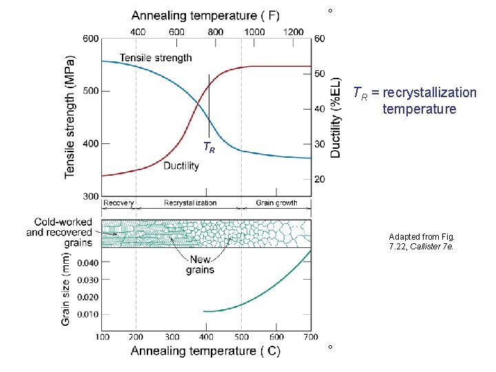 º TR = recrystallization temperature TR Adapted from Fig. 7. 22, Callister 7 e.