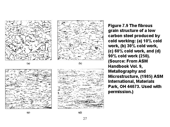 Figure 7. 9 The fibrous grain structure of a low carbon steel produced by