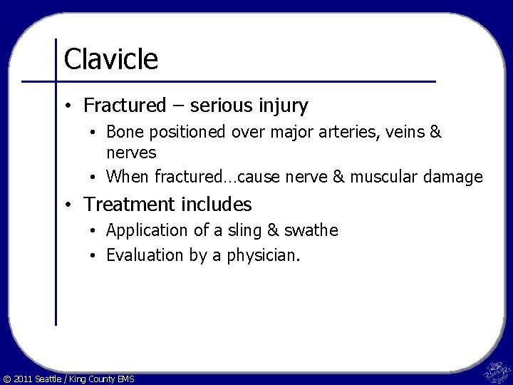 Clavicle • Fractured – serious injury • Bone positioned over major arteries, veins &