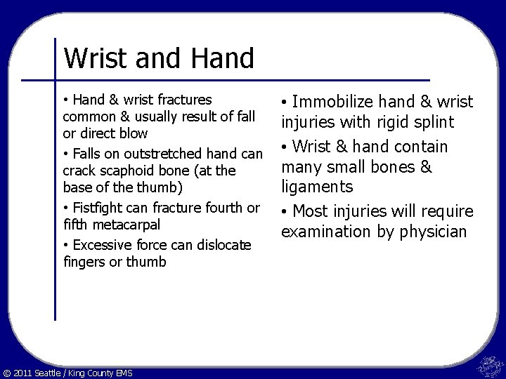 Wrist and Hand • Hand & wrist fractures common & usually result of fall