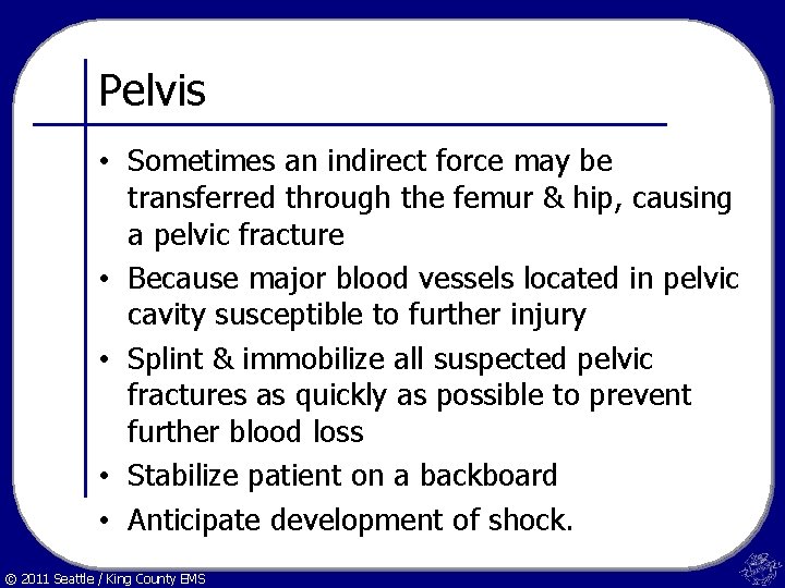 Pelvis • Sometimes an indirect force may be transferred through the femur & hip,