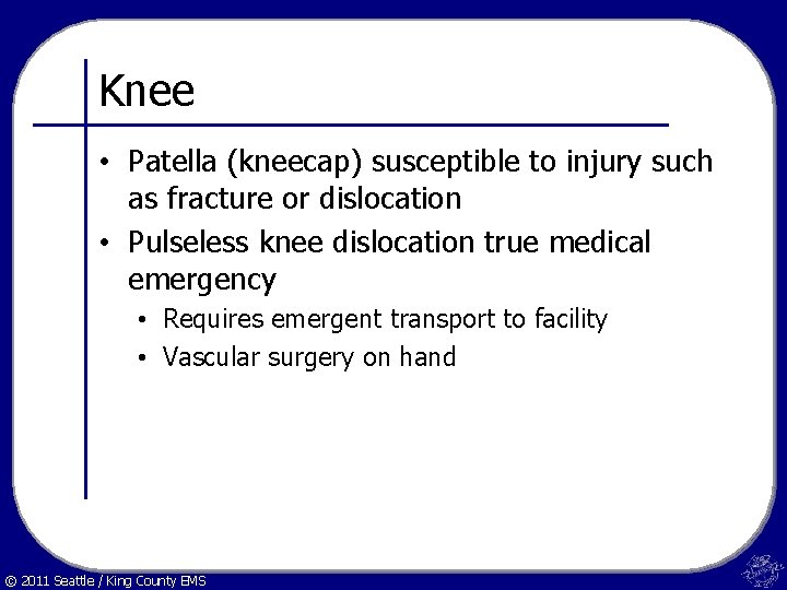 Knee • Patella (kneecap) susceptible to injury such as fracture or dislocation • Pulseless