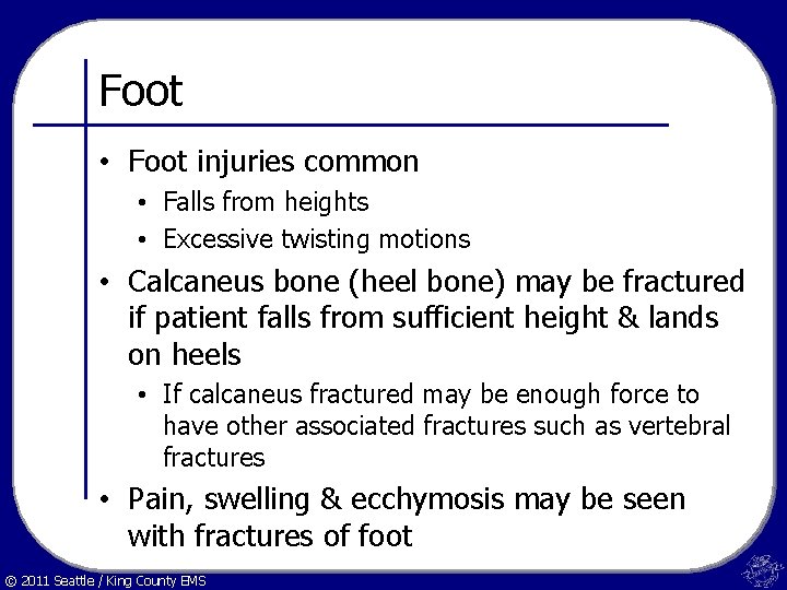 Foot • Foot injuries common • Falls from heights • Excessive twisting motions •
