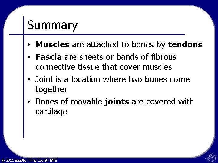 Summary • Muscles are attached to bones by tendons • Fascia are sheets or