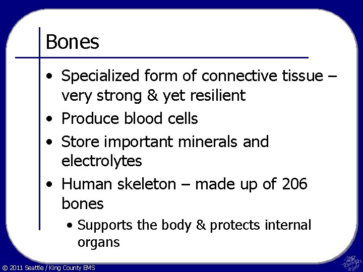 Bones • Specialized form of connective tissue – very strong & yet resilient •