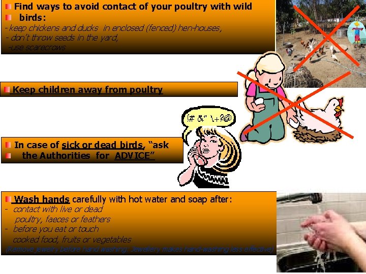 Find ways to avoid contact of your poultry with wild birds: - keep chickens