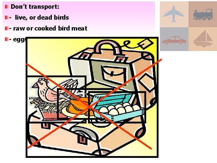 Don’t transport: - live, or dead birds - raw or cooked bird meat -