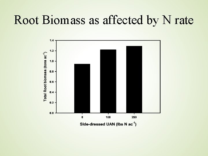 Root Biomass as affected by N rate 