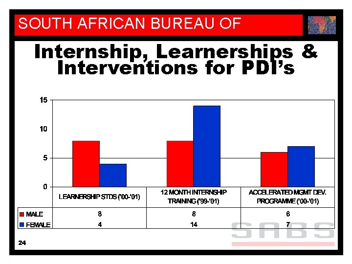 SOUTH AFRICAN BUREAU OF STANDARDS Internship, Learnerships & Interventions for PDI’s 24 