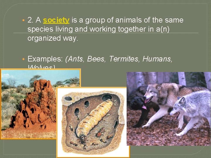  • 2. A society is a group of animals of the same species