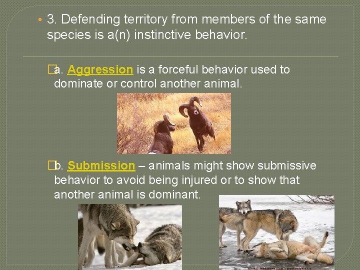  • 3. Defending territory from members of the same species is a(n) instinctive