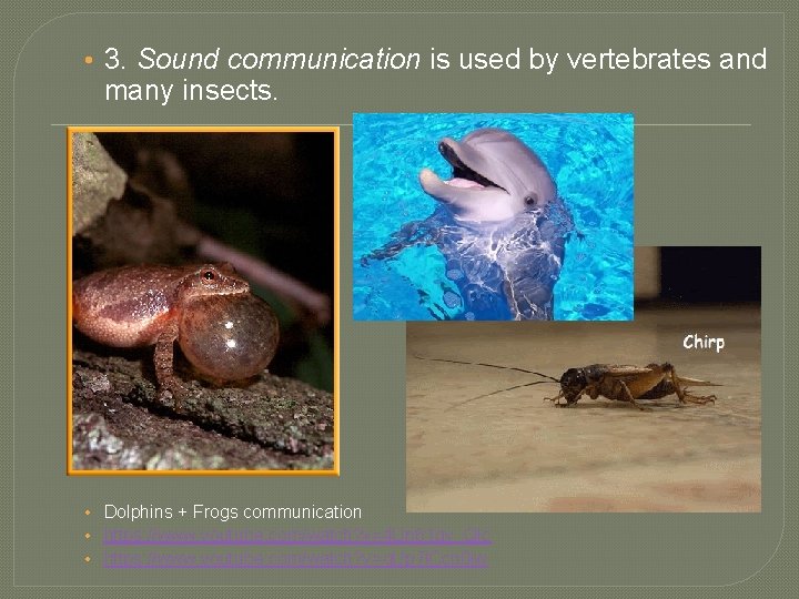  • 3. Sound communication is used by vertebrates and many insects. • Dolphins