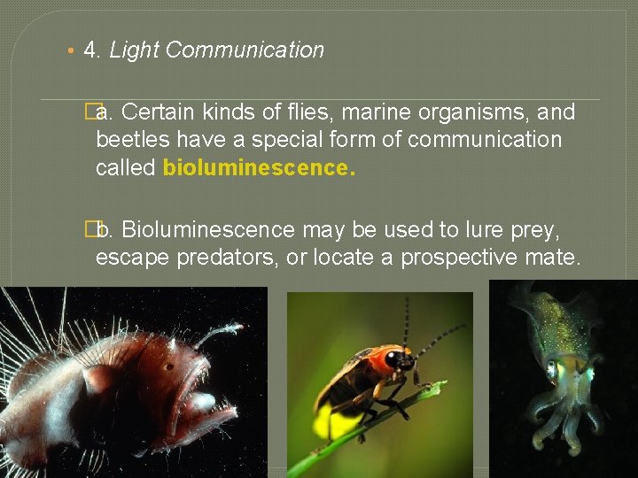  • 4. Light Communication �a. Certain kinds of flies, marine organisms, and beetles